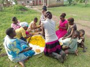 Pumpkin: Huge Potential for Smallholder Farmers