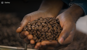 Investing in Uganda Coffee Industry